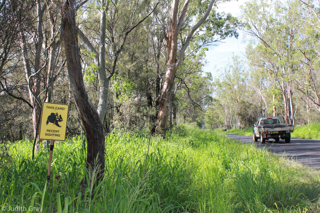 Toowoomba Koala and Wildlife Rescue - Koala Sighting Road Awareness Sign