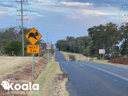Koala Awareness Signage initiated by Toowoomba Koala and Wildlife Rescue